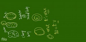 In induction the charge induced in the near surface of a dielec... | Filo