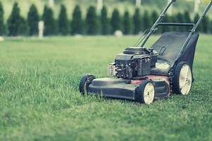 Are Electric Starters on Lawn Mowers Worth It?