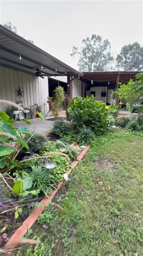 The colors of fall are a little different this year and I’m NOT sad about it | From Suits to Boots