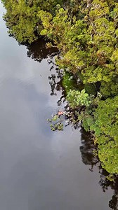 Highlighting the beauty of Lake Latep-Ngapos - one of the 4 Mystical Lakes in Kabayan, Benguet. ✨ Get a chance to explore this beautiful destination when you #TravelWithYel to Mt. Tabayoc 4 Mystical Lakes. PM for more details! 💬 | Travel With Yel