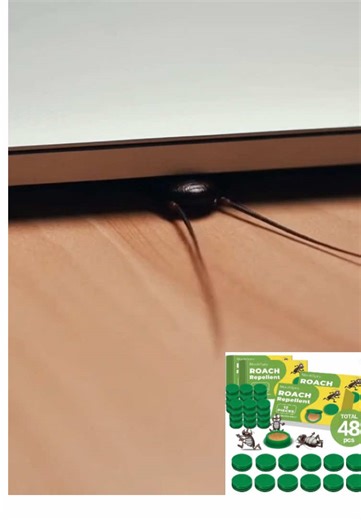 Annoying cockroach 18 #cockroach #cockprevention #cockroachposion #foryou#fdy
