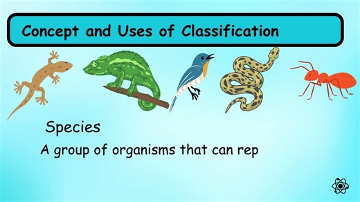 Chapter 1. Characteristics & Classification of Living Organisms IGCSE Paper Biology 0610