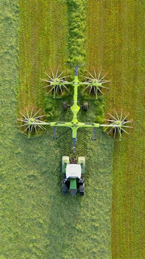 Exploring Grass Lines in Cornwall's Countryside