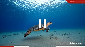 IAB-TL_AdFormatHero_NewFronts_ScreenSaver