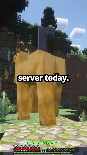 Best Minecraft Cracked Server for Java and Bedrock Edition #minecraft #gaming