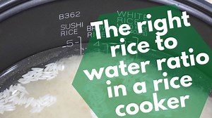 Rice to water ratio in a rice cooker | White, jasmine, basmati