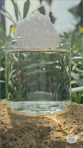 Acetone: a destroyer and a solvent #chemistry #experiment #styrofoam #simpleexperiment #science