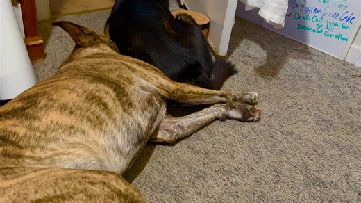 1.1K views · 27 reactions | Current work conditions in my office at Drum Talk TV -with Nja Onê | Dan Shinder | Facebook