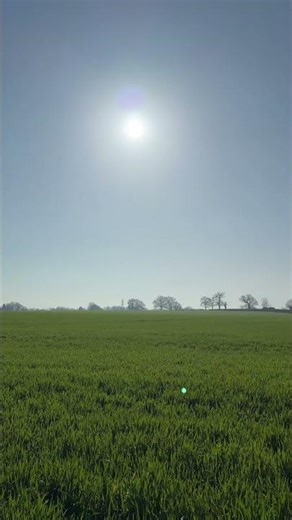 Tell me it’s spring without telling me #spring #summer #springvibes #motivation