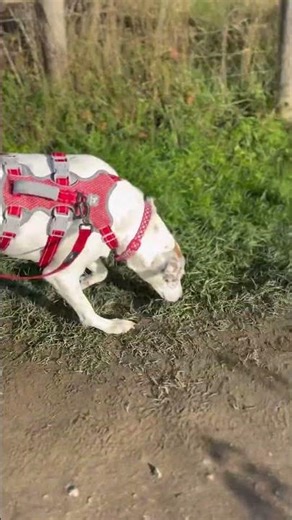 Well hello little lady