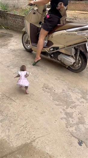 The baby monkey chasing after its mother looks so adorable.