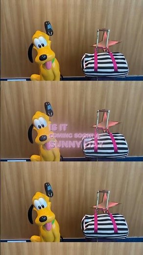 Orlando Airport to Disney World: Exploring Public Transit Options! ✈️🚌 #luxury