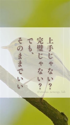 🌬️✨季節を愉しむマインドフルネスネス✨2月9日：立春｜次候黄鶯睍睆（うぐいすなく）山里でウグイスが初音を聞かせてくれる頃💫 あなたの声を世界に届けましょう。拙くても大丈夫、その一歩が誰かの光になる。