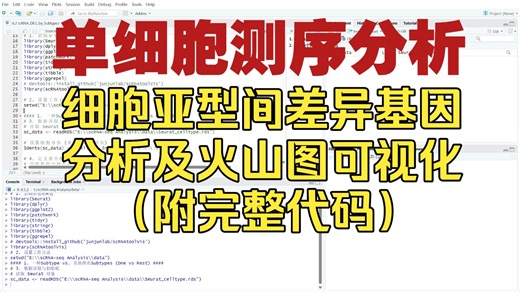 【Broca】单细胞测序分析，细胞亚型间差异基因分析 火山图可视化全流程讲解！（附完整代码）