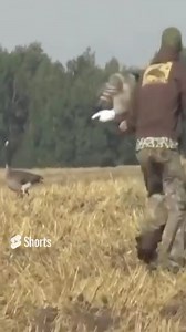 5.1K views · 54 reactions | How to sneak a goose! | Old Hat Outdoors | Facebook