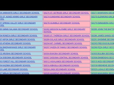 See Here the FORM TWO and GRADE FOUR Examination Results for 2025/2026