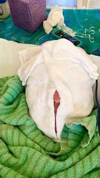 Full ablative C02 LASER part 2 #face #skin #CO2laser #facelaser