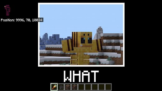 How to get and use Minecraft Bedrock tweaks