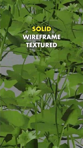 TEXTURED vs WIREFRAME vs SOLID | 3D animation (NO AI)