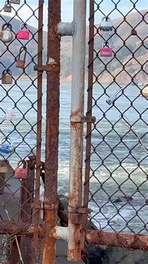 Are You Looking Through The Fence Again? #shorts #goldengatebridge #travel