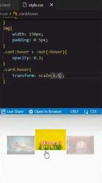 Image hover Animation #front_end #webdesign #html5 #css3
