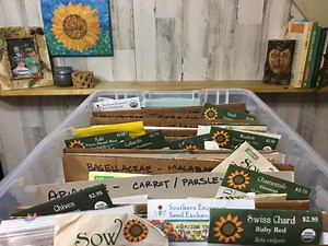 how-to-store-and-organize-seeds
