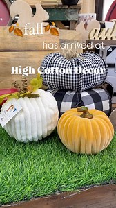 55 reactions | Feeling like fall (well at least before 9 am) Come check out all of these cute fall items to get you in the autumn spirit! #fall #autumn #fallvibes #bryantar #centralar #boutique #smallbusiness #supportsmallbusiness #shoplocal | High Cotton Decor | Facebook