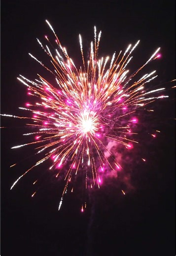 #sharethemagicfire #blackscorpion #fireworks2026 #pyro #usa🇺🇸