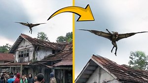 12K views · 247 reactions | Man Captured A Strange Creature Falling From The Sky! | Aliens UFO Caught on Camera | Facebook