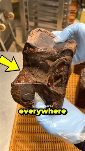 3 Cool Things Every Country Should Have