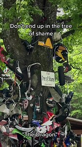 7.6K views · 120 reactions | Whatever you do, don't let your motorcycle parts end up in this tree! | CycleDrag | Facebook
