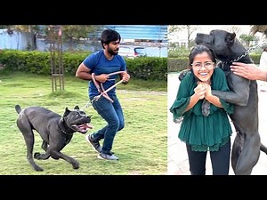 Finally fenny se mil hi liye 😍