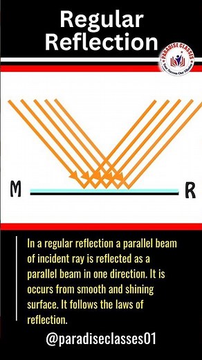 How Plane Mirrors Reflect Light: Regular Reflection Explained! | Paradise classes
