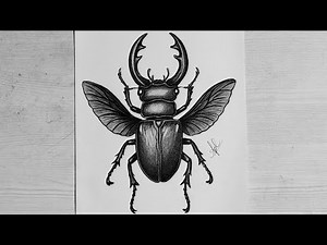 "Master Realistic Beetle Drawing with Simple Pencil Techniques | Tutorial"