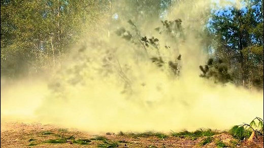 Understanding Pollen And Pollen Counts