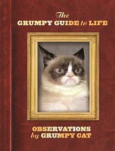 Even Grumpy Cat can't help but smile about new book, film