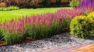 How to Weed a Garden the Easy Way