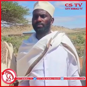 11K views · 245 reactions | “Muuse biixi xoolihiisa ee Soomaali Gumaadka ayaa xoolahan loo keenay….…”. | City Somali Tv & Radio | Facebook