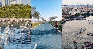 15 of the best budget-friendly outdoor activities in Dubai