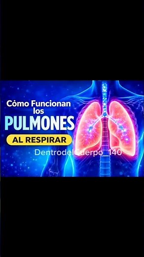 Cómo Funcionan los Pulmones al Respirar | Animación Médica 3D del Cuerpo Humano#oxygenchamber#oxygen