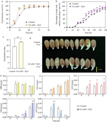 New Study Unveils Ethylene’s Role in Enhancing Peanut Seed Germination: A Breakthrough in Agricultural Practices (Approved) | Newswise