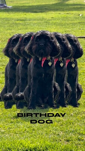 Travis Van Winkle on Instagram: "My little Karen Valentine. Andddd I think it’s officially time to meet my wife 😆"