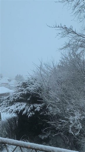 #Snowfall #Snow4K #WinterNature #RelaxingVideo #CalmNature #RelaxNature