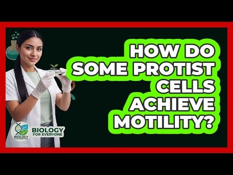 How do some protist cells achieve motility?