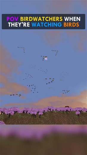 POV — BIRDWATCHERS When They're WATCHING Birds
