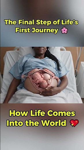 The Moment of Birth, How Life Comes Into the World💖#shorts #miracleinmotion #pregnant #baby