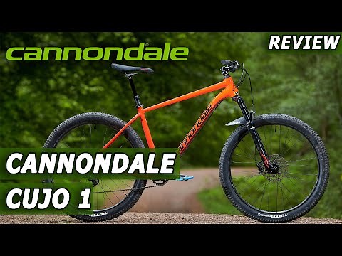 Review bike Cannondale Cujo 1