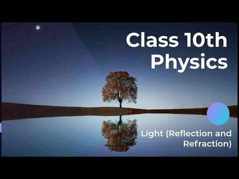 The Physics of Light: Understanding Reflection and Refraction