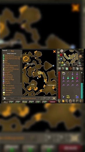 OSRS Brimhaven Dungeon Metal Dragons