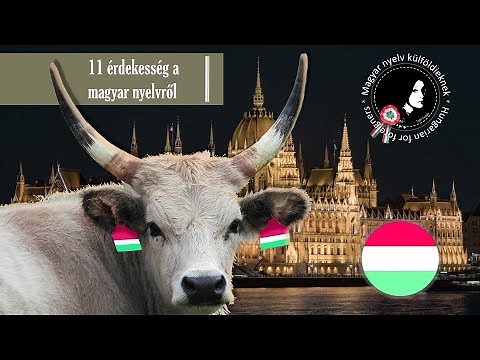 11 érdekesség a magyar nyelvről │ 11 fun facts about Hungarian │ Hungarian for foreigners